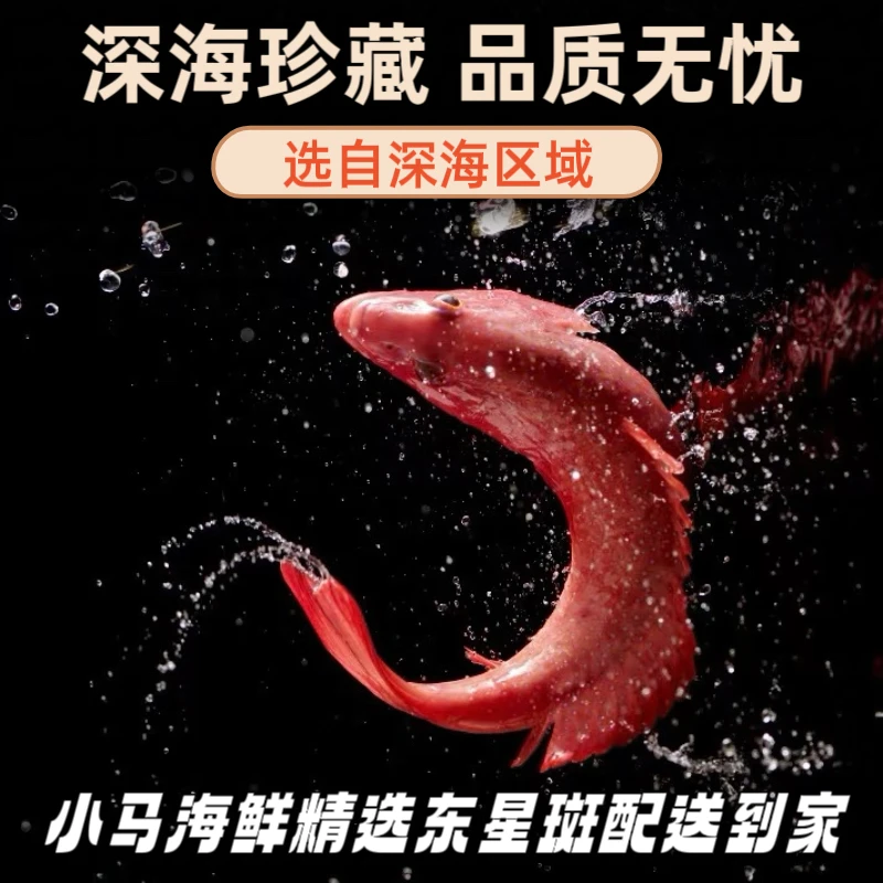 东星斑（900克左右）