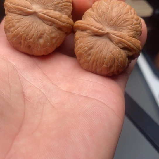 把件文玩核桃晨*宇元宝