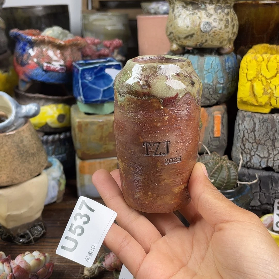 默认微次 元旦福利 坛子姐花盆