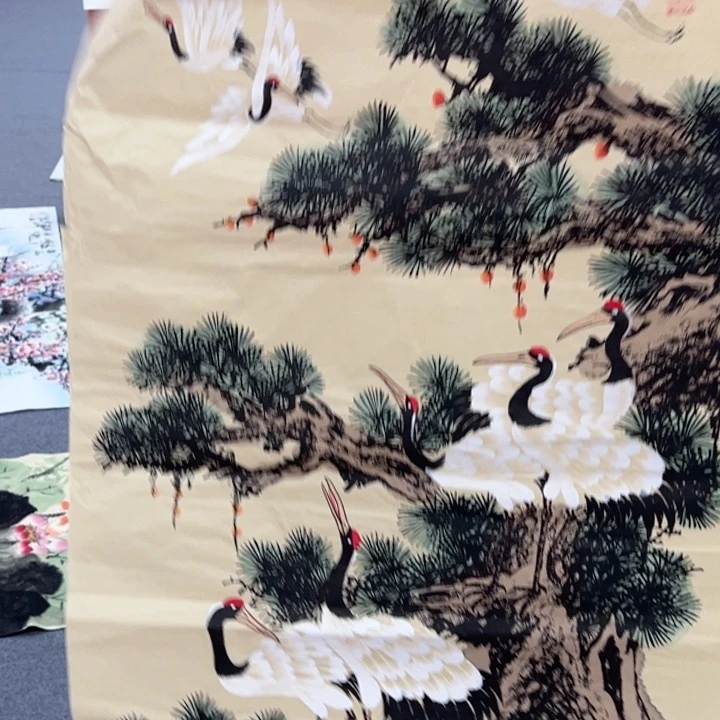 竖款早上好主播来说画？