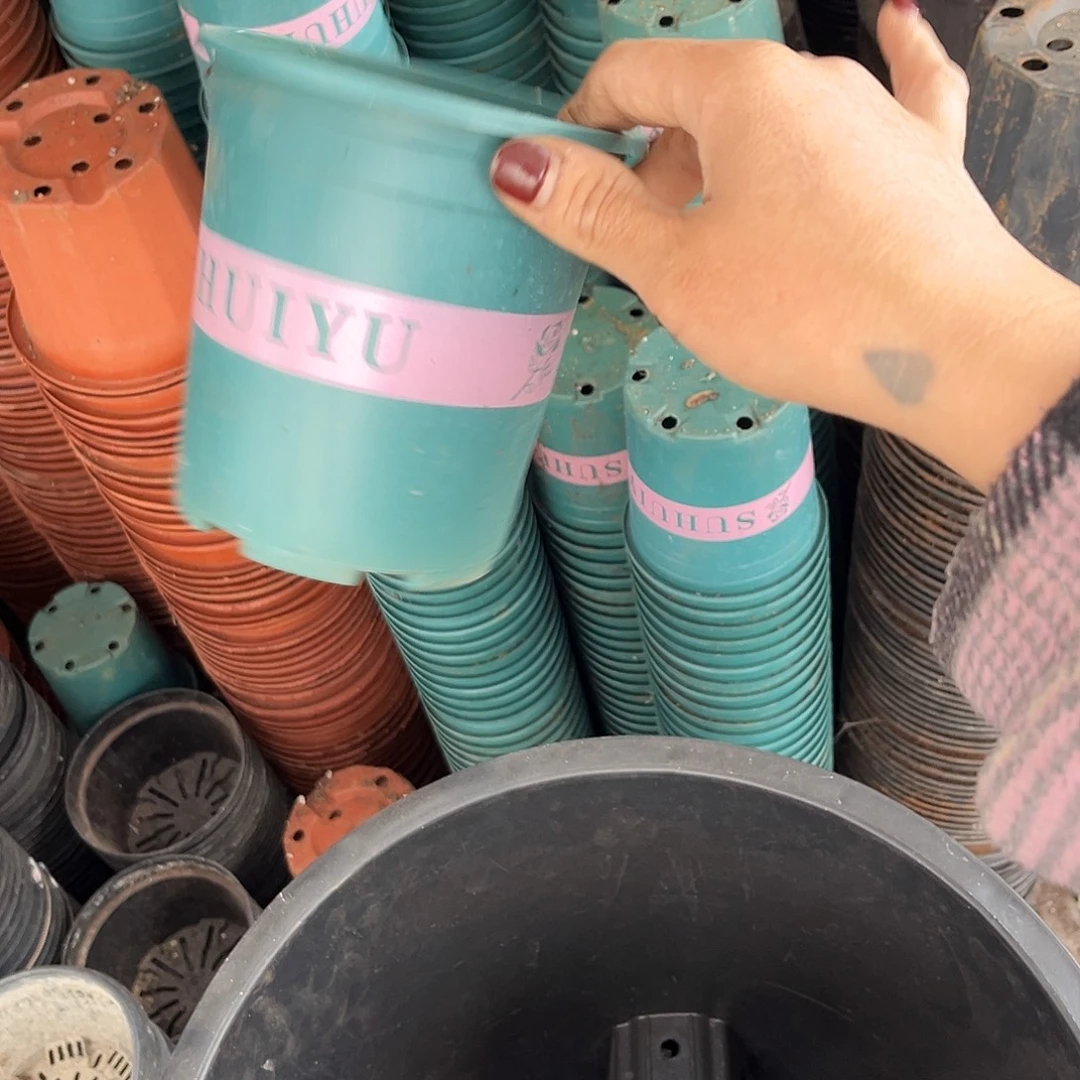 旧口径12高12绿加仑盆30个