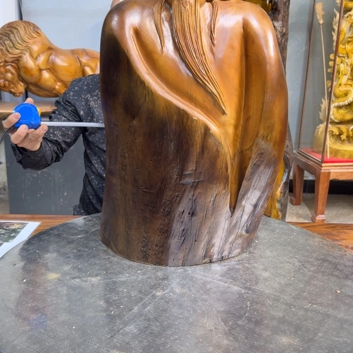 香樟木兰**果长38厘米高68厘米