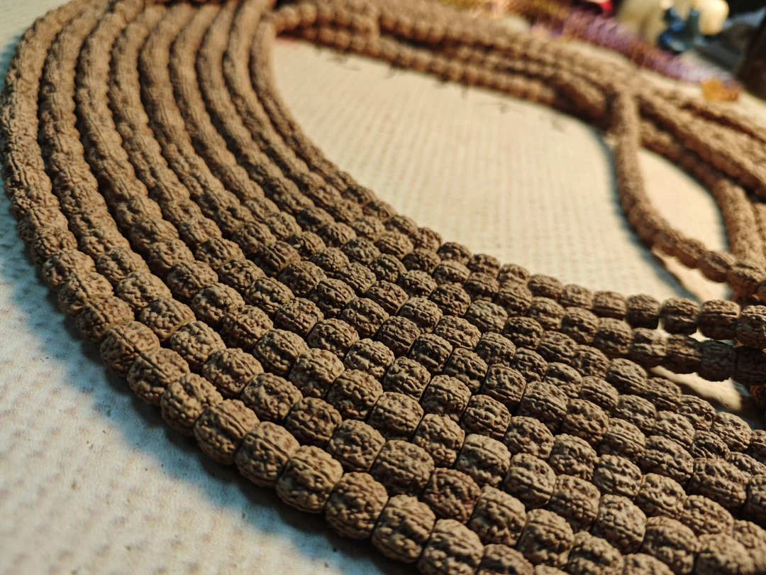 PRR原皮纯血麦穗盘龙 尺寸8-12+钢丝刷