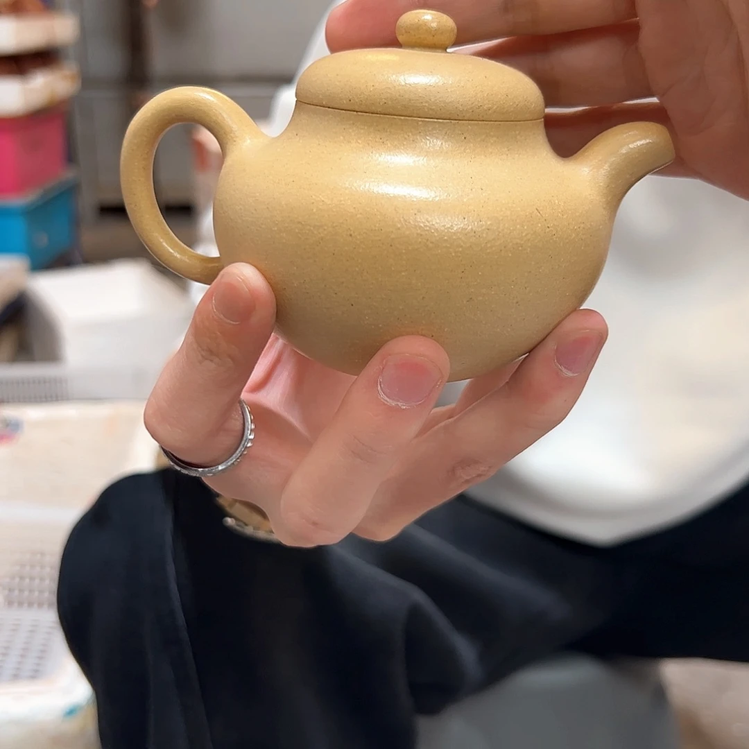 紫砂茶壶本绿柿园全品