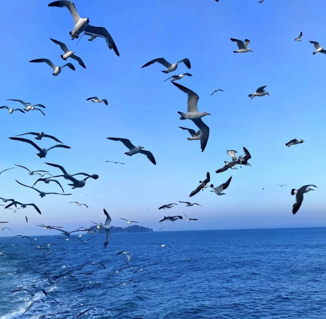 夏季新款男女同款皮肤衣MMM