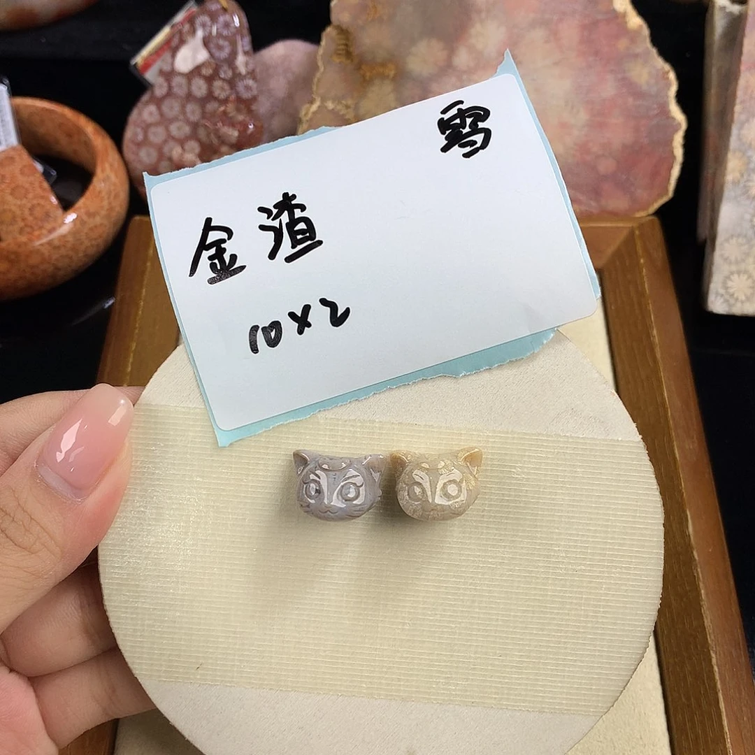 金****吊坠(赠链)未镶嵌硅化珊瑚（珊瑚玉）