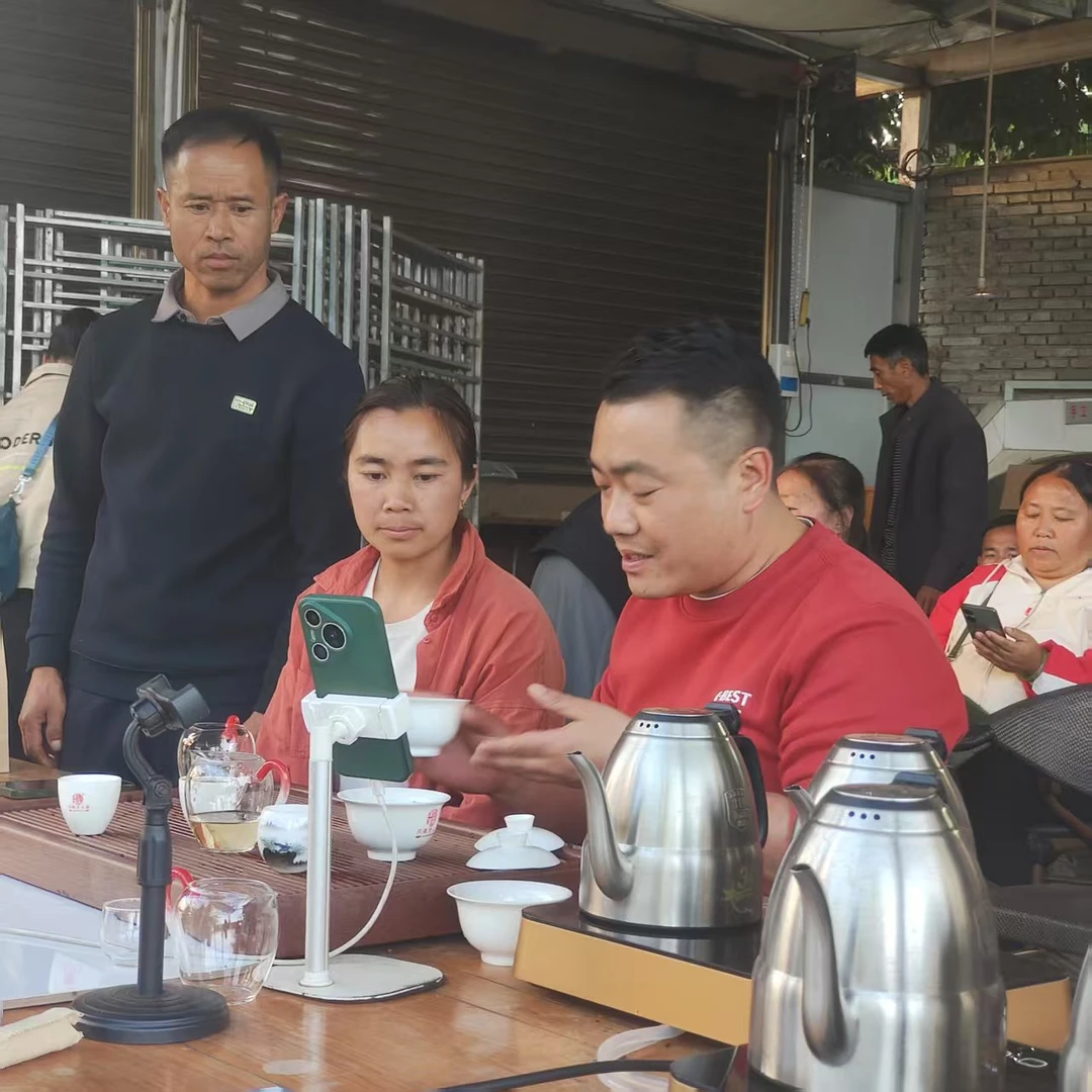 （2.4）2023年  头春  冰岛老寨古树  50克/盒   配茶样  084号