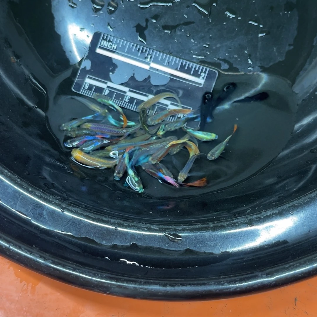 海水6号哈哈哈哈哈哈