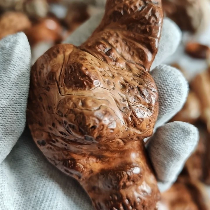 柏木兵太行崖柏樱子瘤花手把件