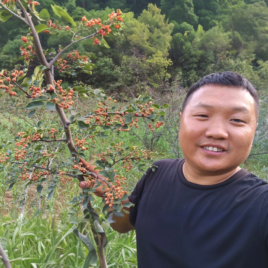 山村小万2025年太行山新花椒  干花椒