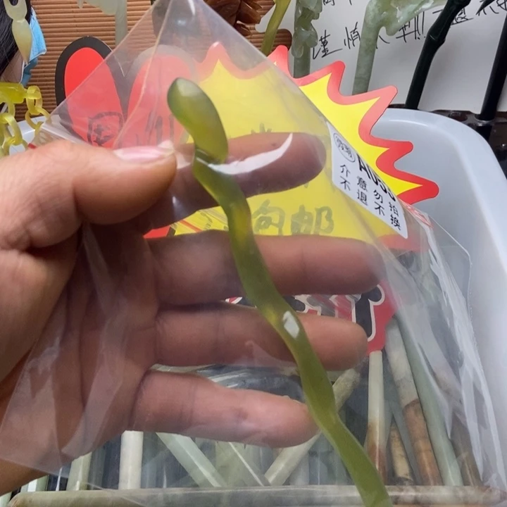 蛇纹石玉未镶嵌发饰