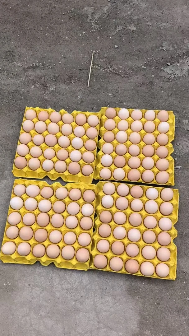 （新店爆款）散养土鸡蛋30枚装