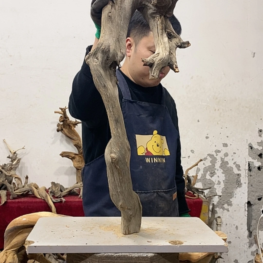 【闪购商品】柏木用****8我们都是好孩子