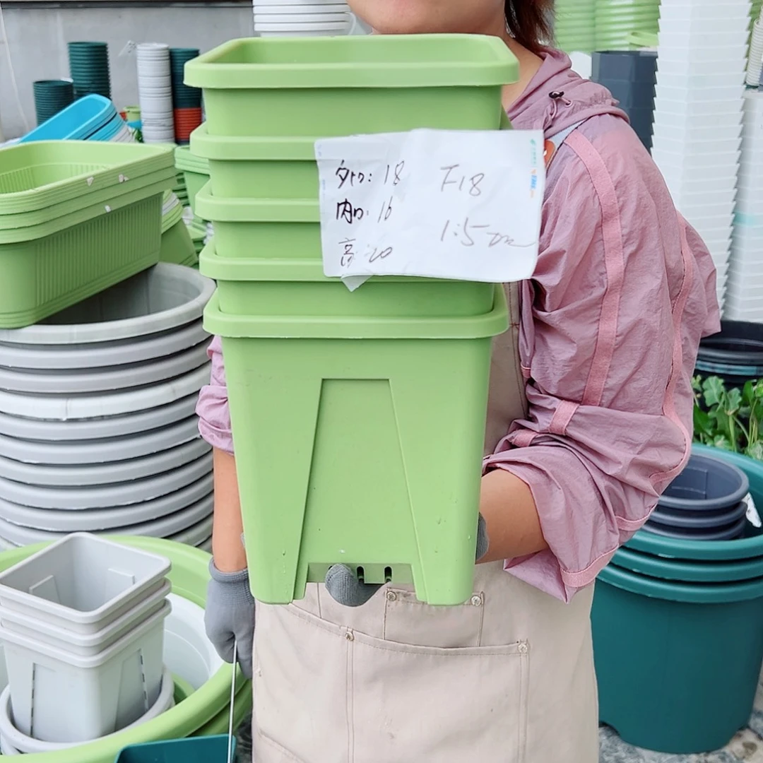 方盆F18#果绿色5个无托