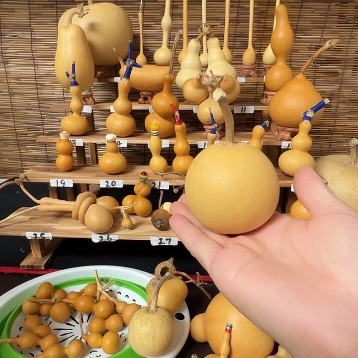 小*子谢谢谢谢谢谢谢谢谢谢