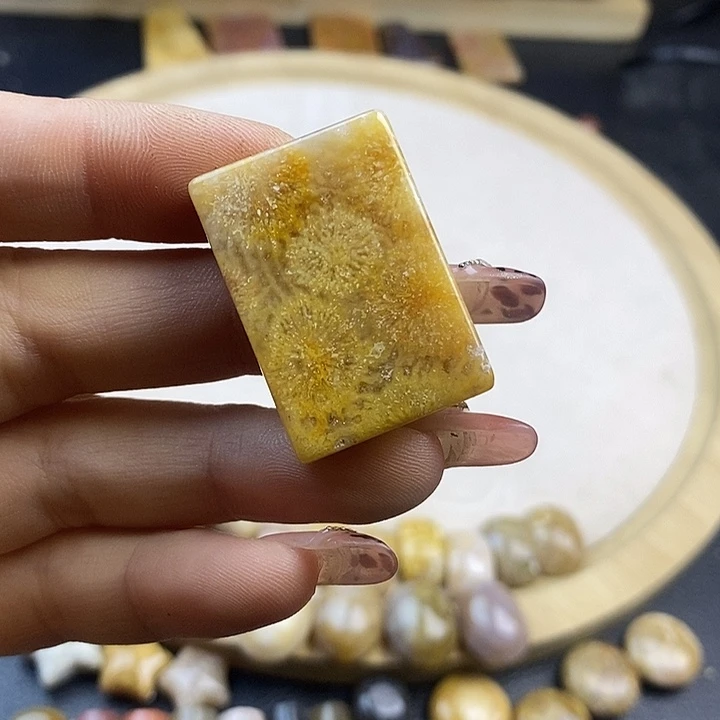 硅化珊瑚（珊瑚玉）未镶嵌颈饰1