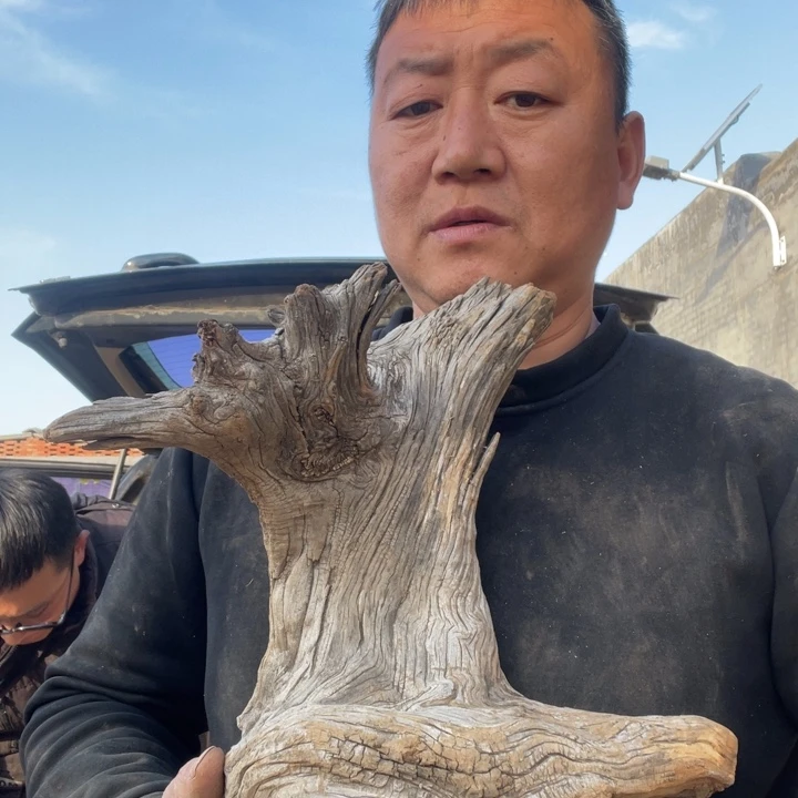 精***精柏木啊啊啊啊啊啊啊啊