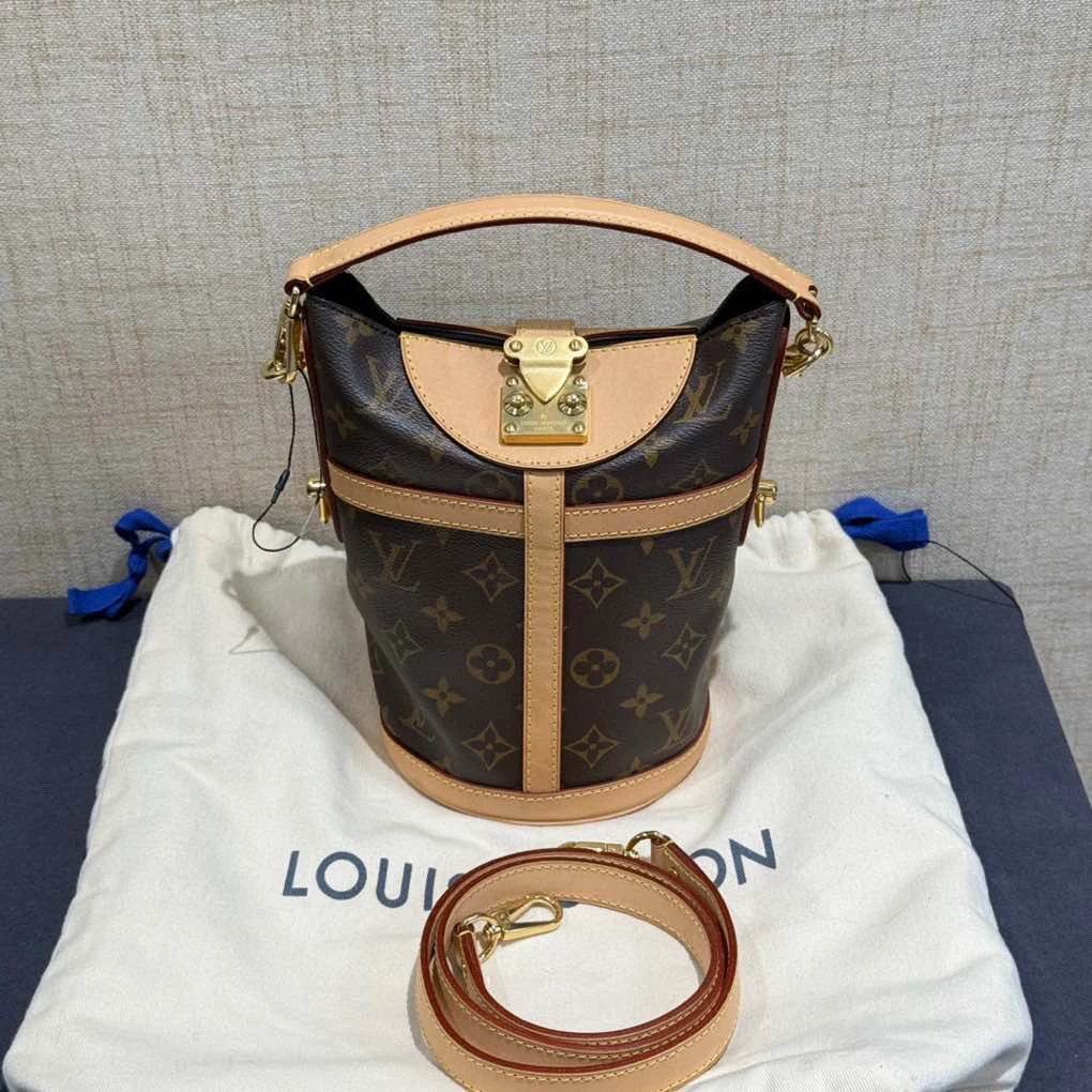 95新 LouisVuitton/路易威登 老花薯条包