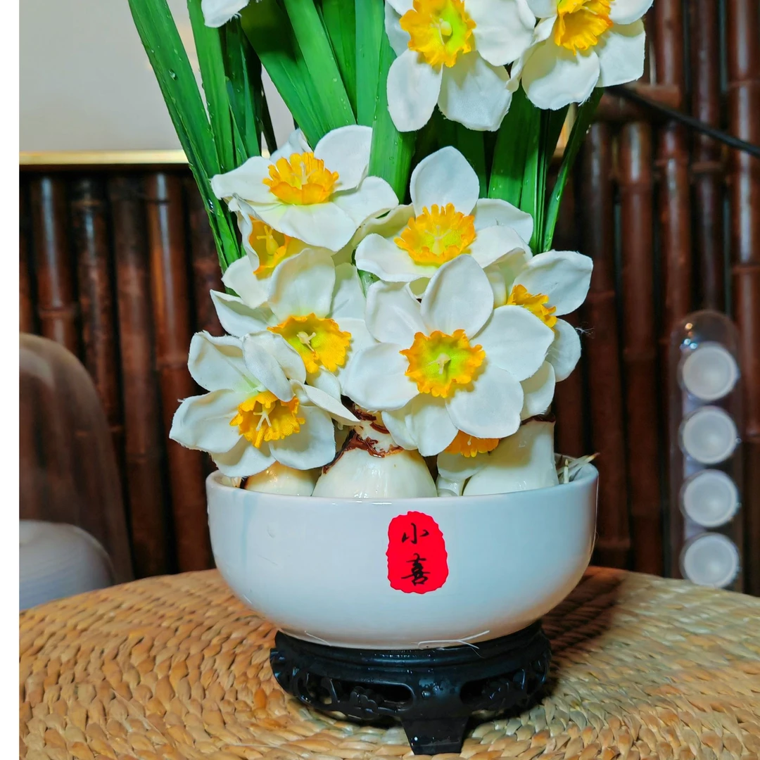 小喜款水仙花种球年宵花水培清香好养