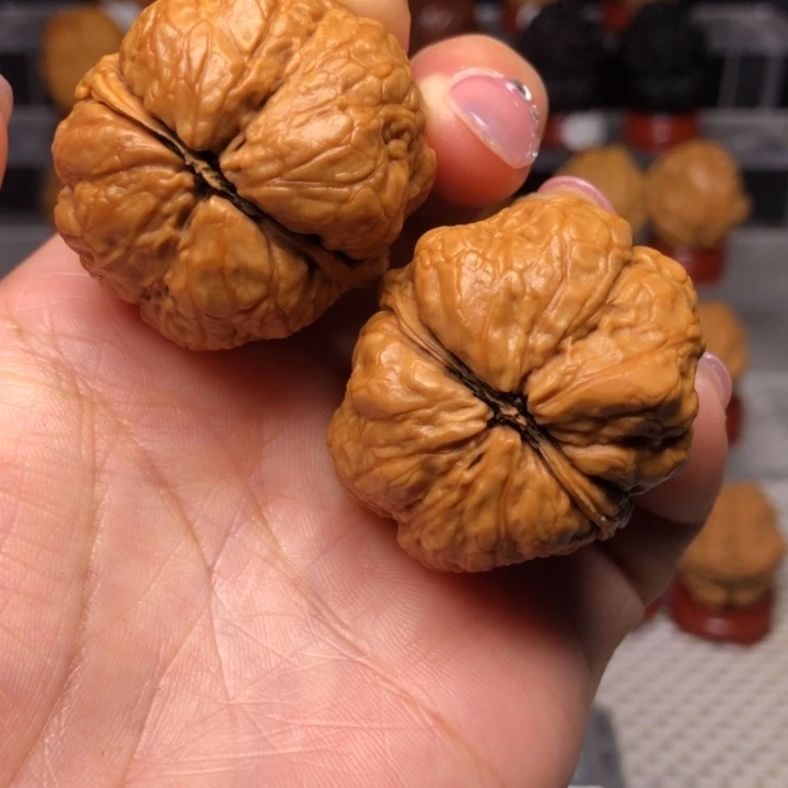 把件文玩核桃10琥珀金蟾