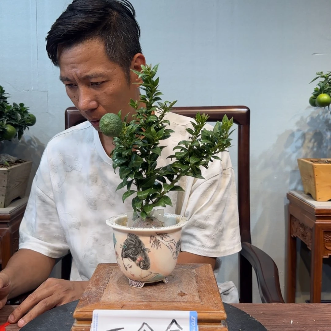 当前无花朵，栽培后可花朵?