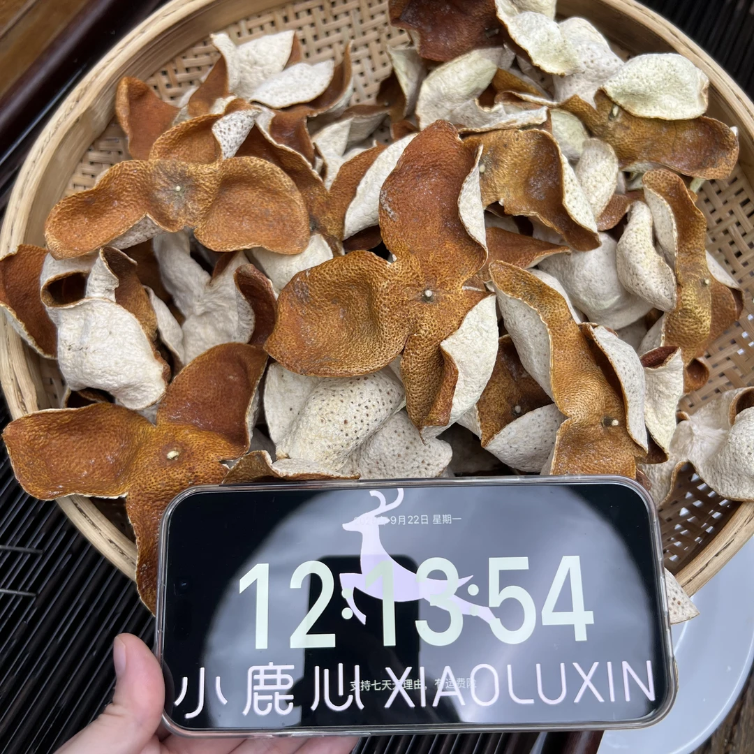2024新会梅江圈枝大红新皮 ①小鹿收茶  新会新皮  9月22/2