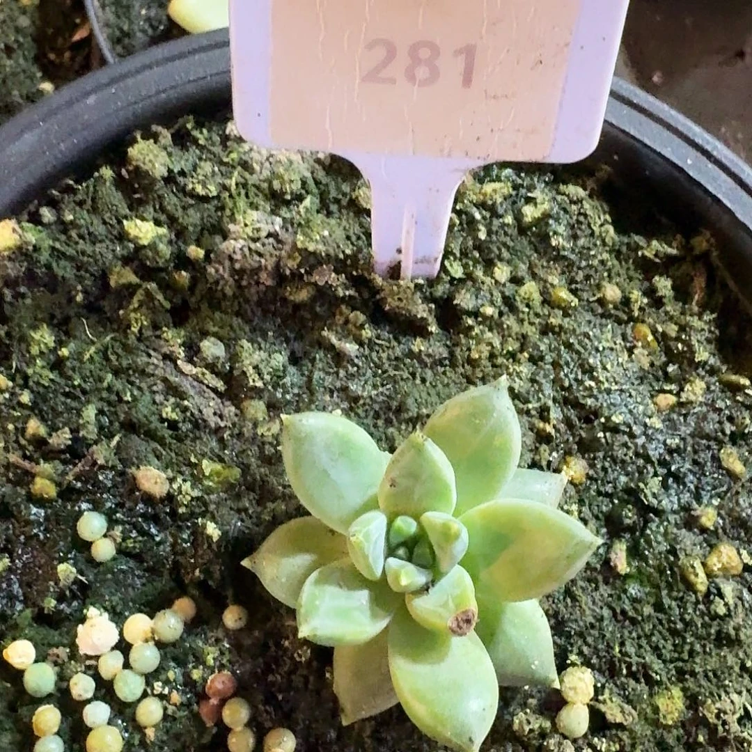 牵手12345678910111213