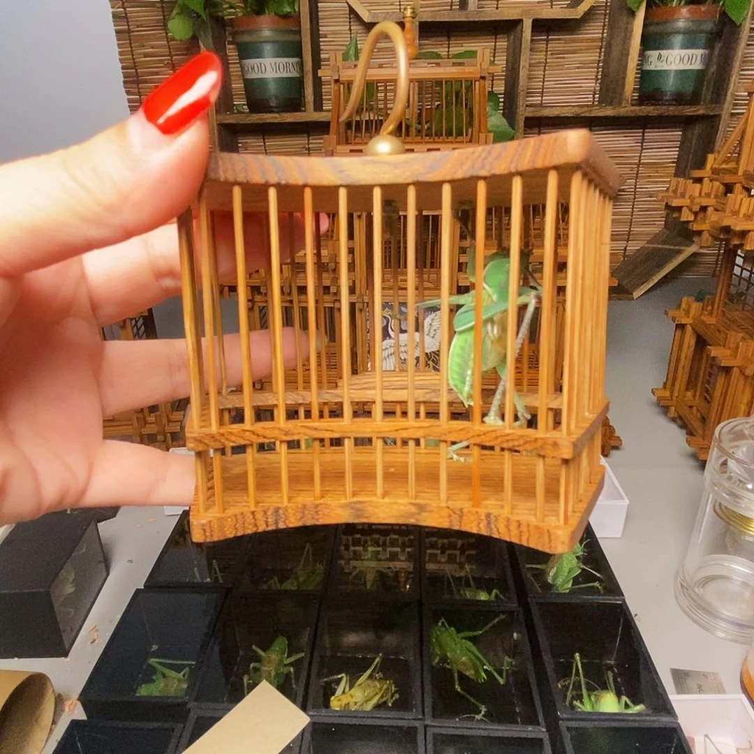 黄金檀蝈蝈笼加海蓝蝈蝈
