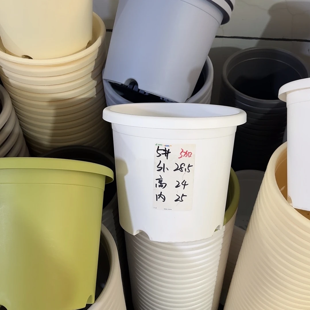 微瑕5号6个无托，白色