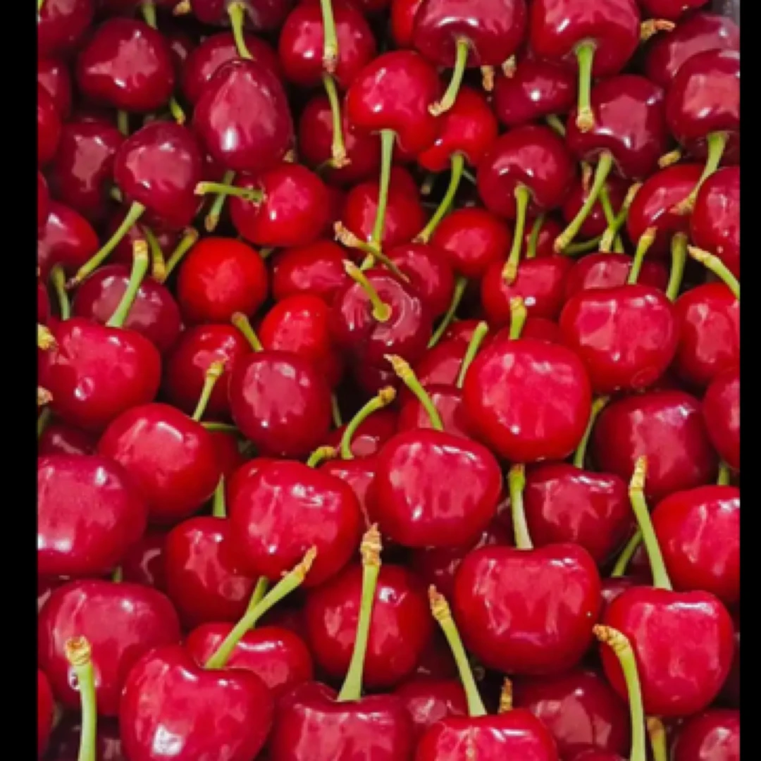 樱桃15元一盒700gL其他品种山东省