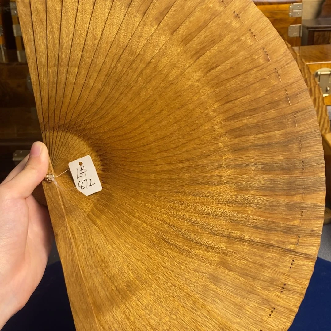 金丝楠小叶桢楠L872，24cm