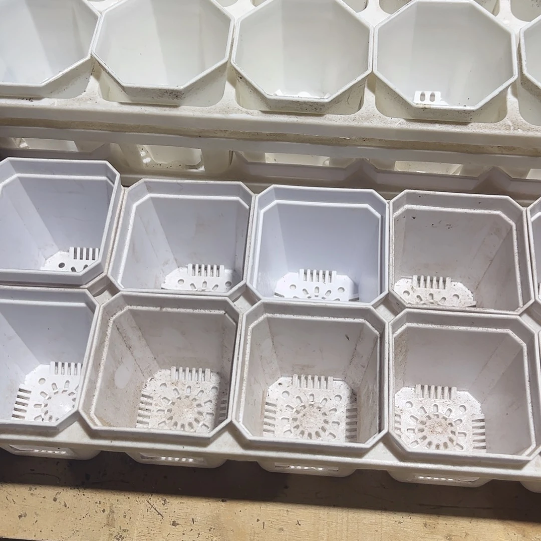 7白小白盆送托架2套