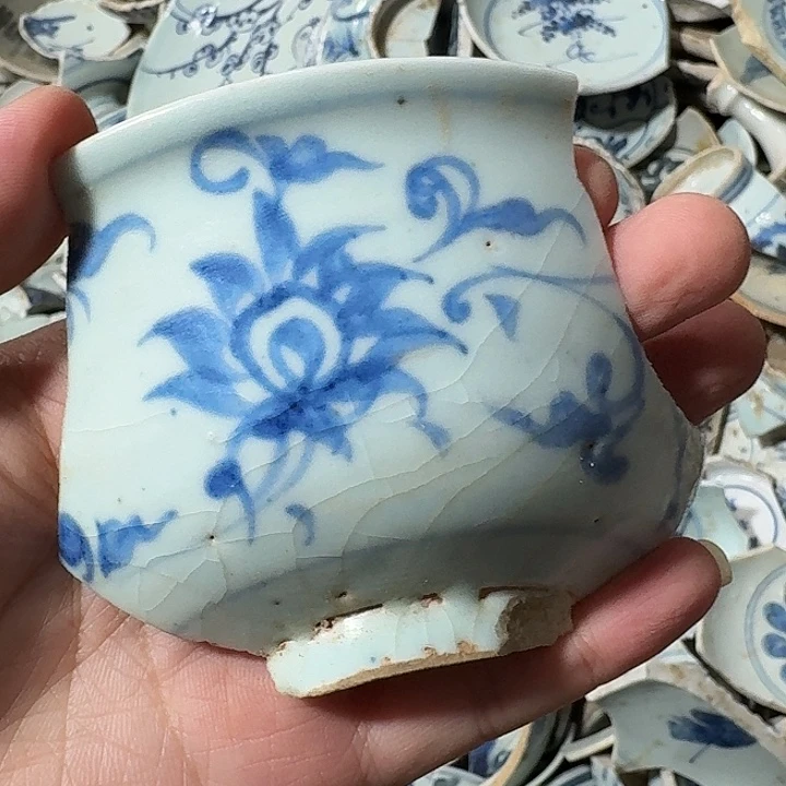 奥***l瓷片瓷片标本，顺丰包邮