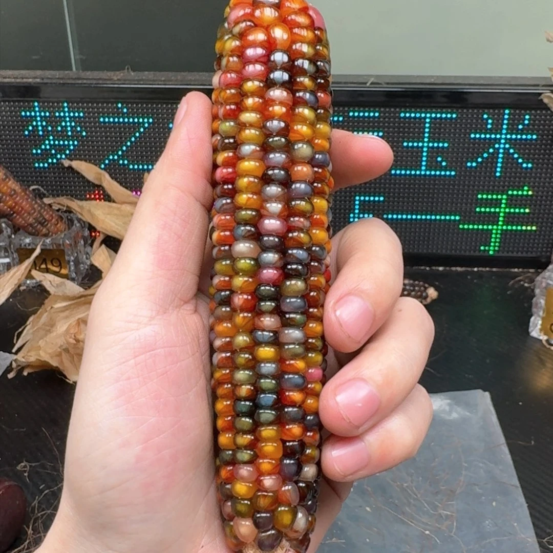 柏香籽/百香籽吊坠?****莹