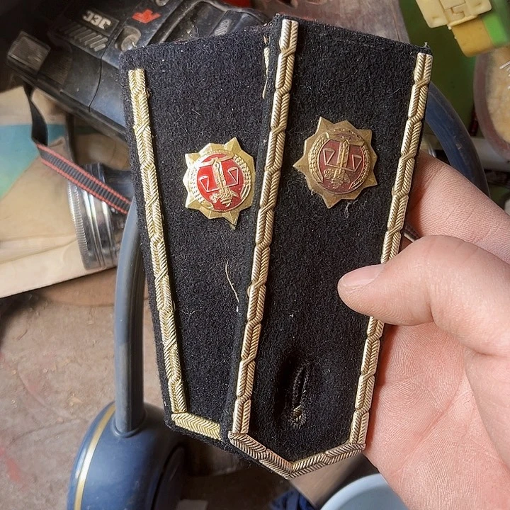 核桃木/黑胡桃（胡桃木）✨**?