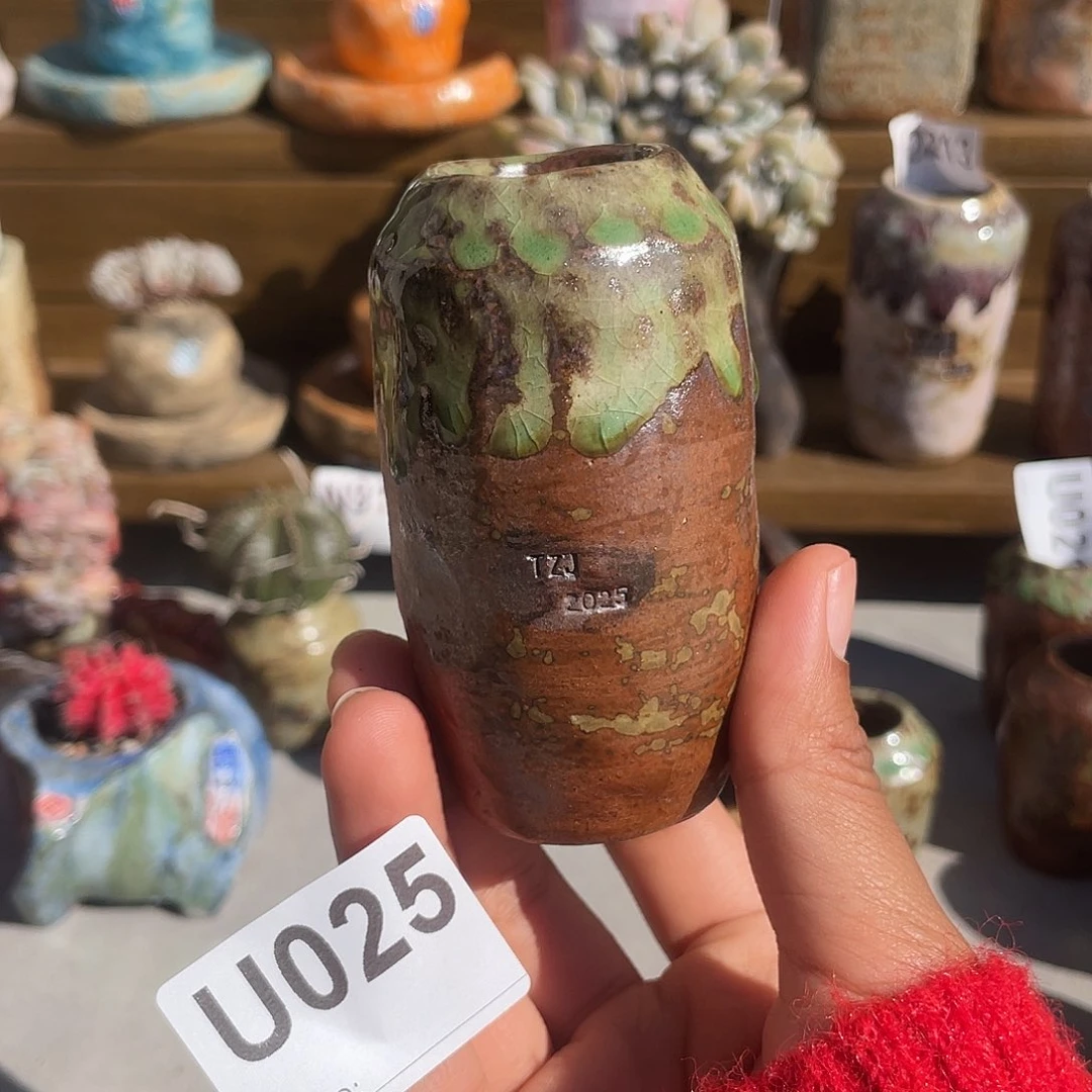 坛子姐花盆 拇指盆内口2.5百搭
