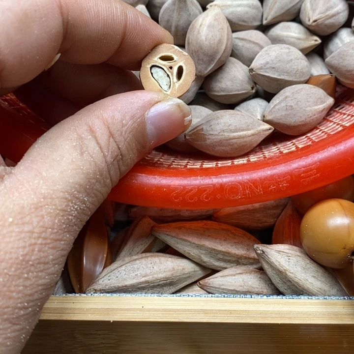 吊坠橄榄核中****）