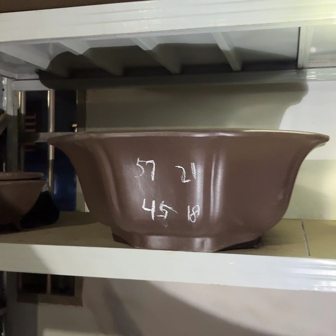 紫砂紫砂大莲花一个