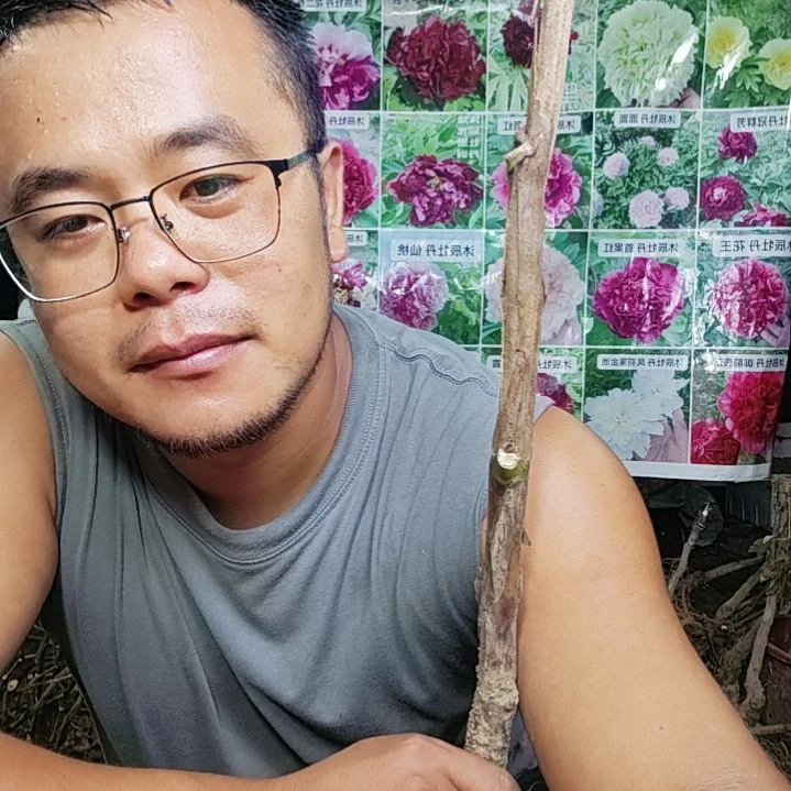 无花朵皇冠........