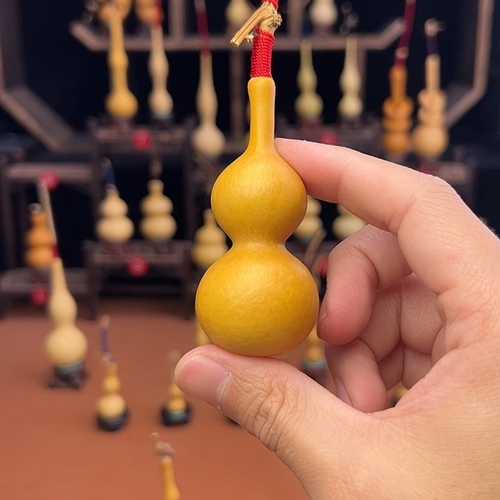 谢***强葫芦等多种颜色的花