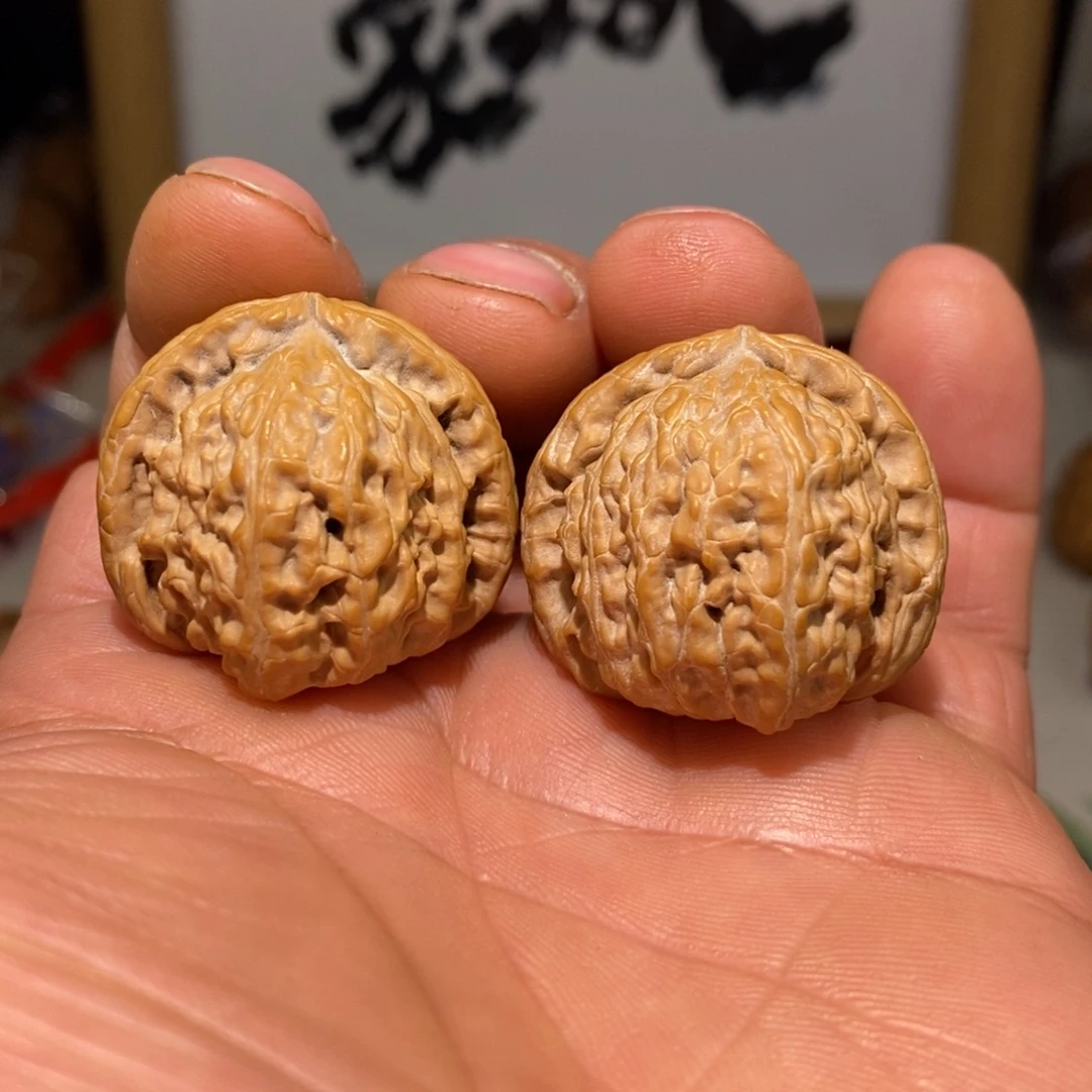 文玩核桃把件31尺白狮子
