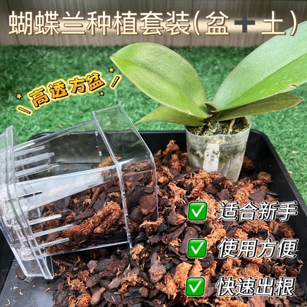（花盆➕植料）组合套装蝴蝶兰专用透明透气养花方盆土新手必备