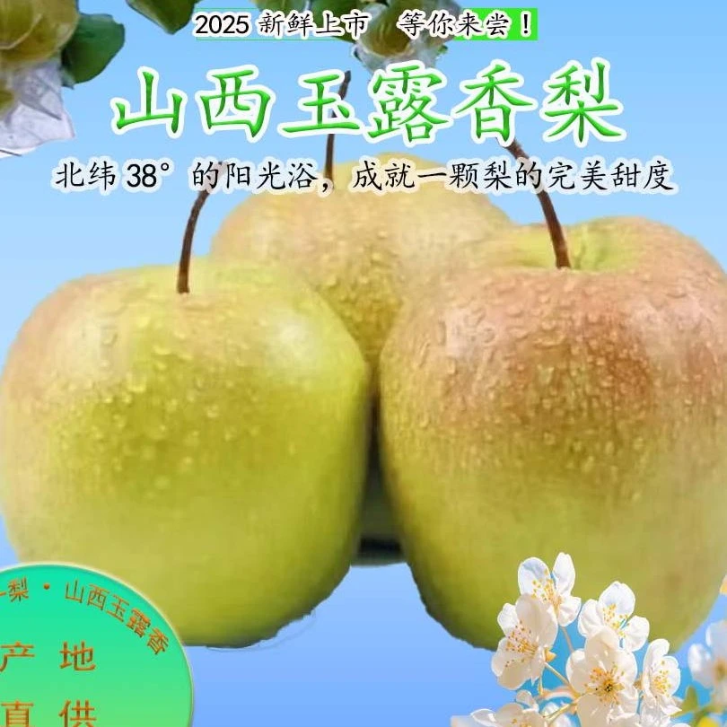 山西玉露香梨【京东上门】