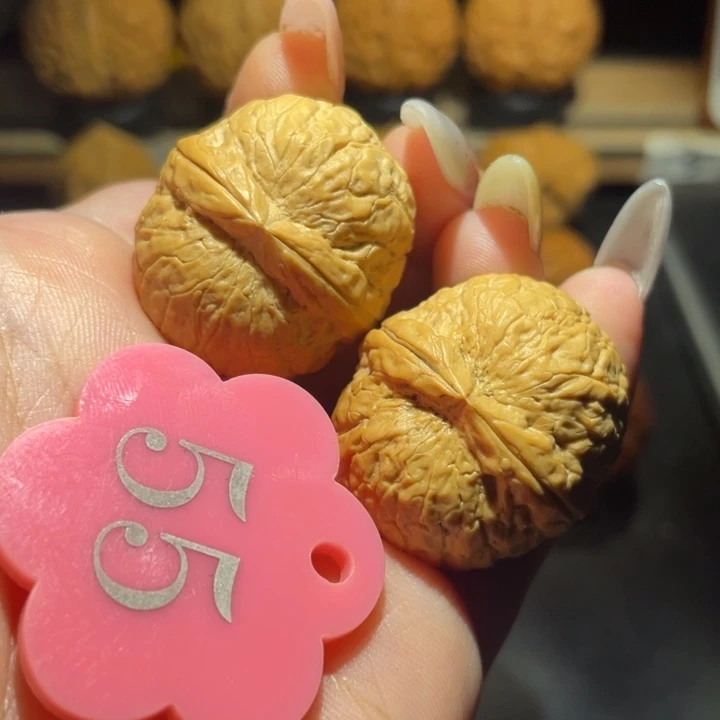 粗筋小帝王31尺寸核桃