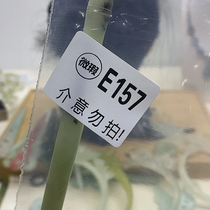 合金蛇纹石玉发簪小**
