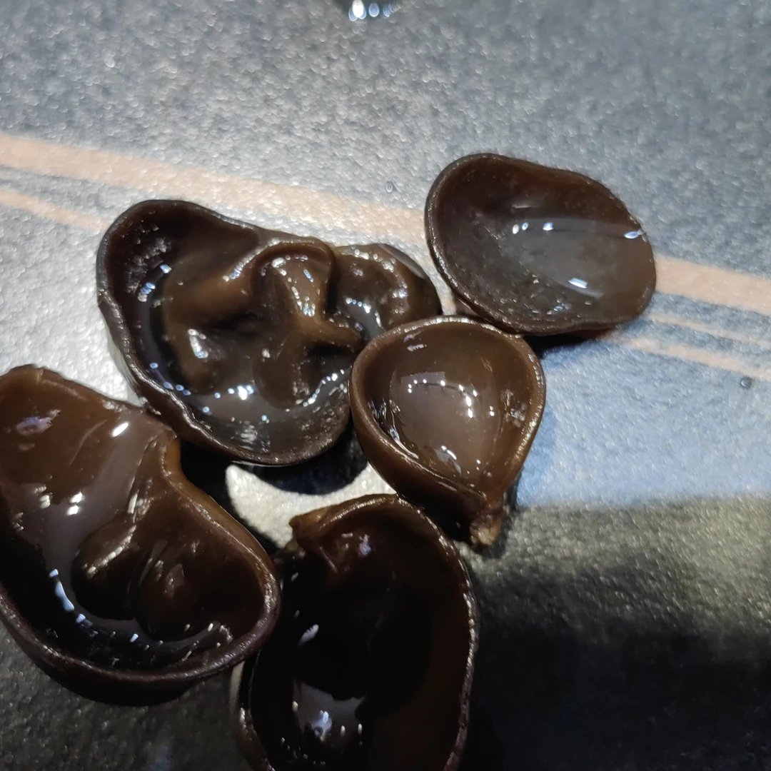 正宗山货木耳（能炒能凉拌）泡 4 小时