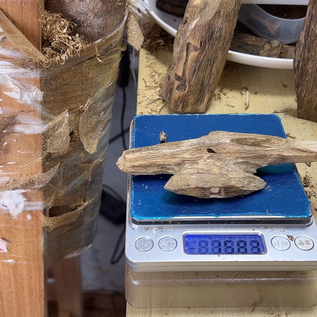 香料绿奇楠虫漏15克陆河