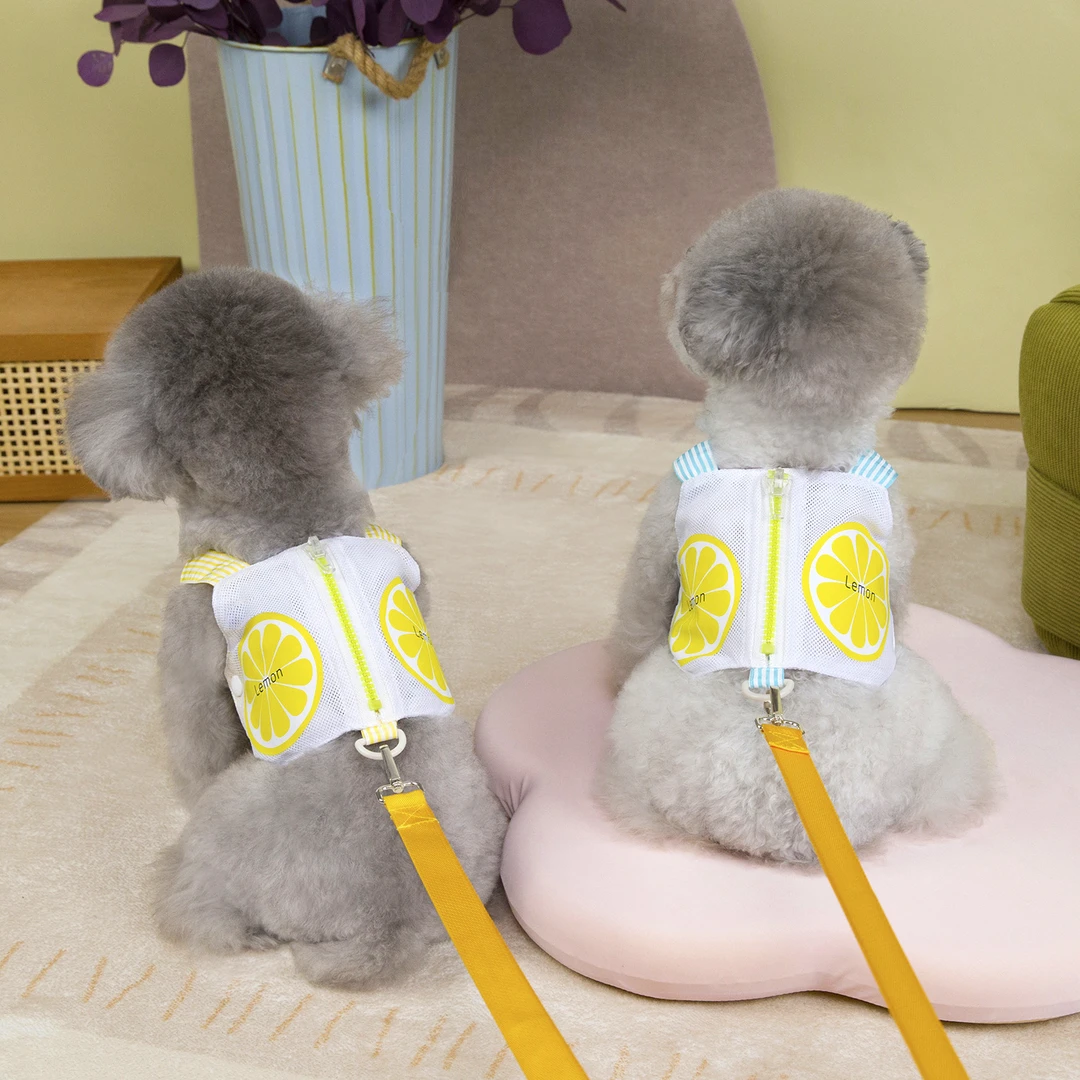 新款网眼透气猫咪狗狗胸背帶牵引绳背心泰迪衣服拉链口袋外出胸背