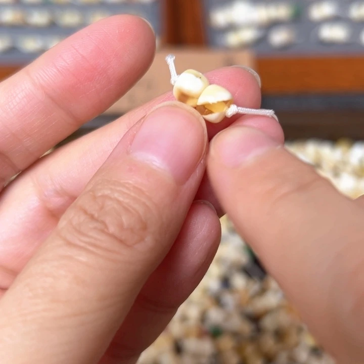 蜜蜡未镶嵌裸石6.4mm一对