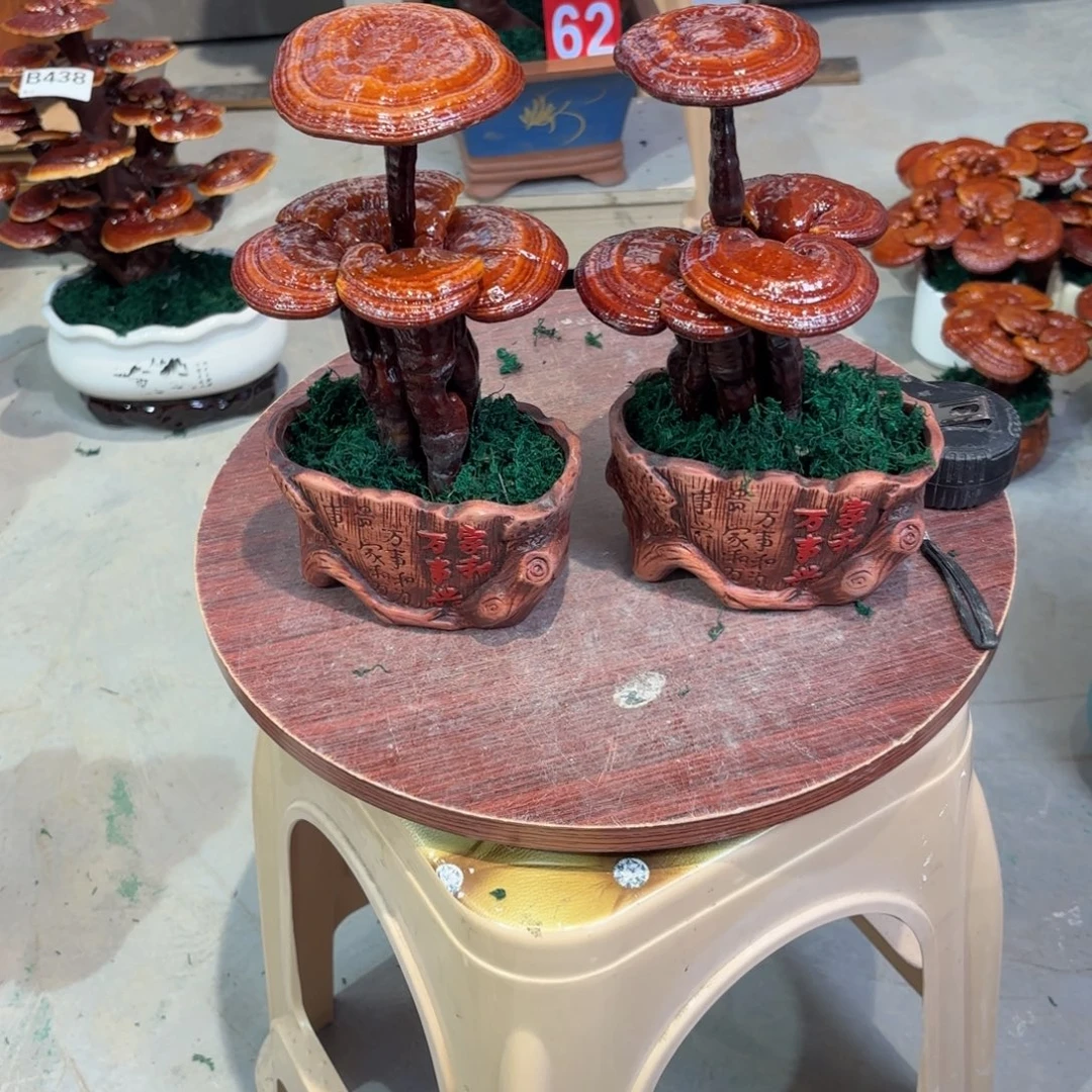 闲***逛灵芝5888888888888888888
